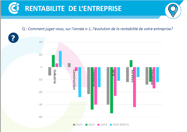 rentabilité - soldes d'opinion - CCI GERS